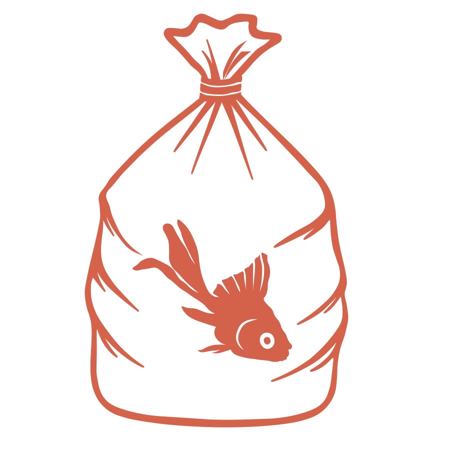 Orange goldfish in a bag vector design.